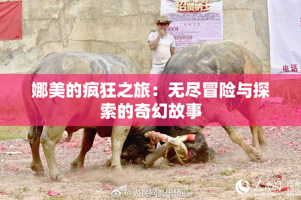 娜美的疯狂之旅：无尽冒险与探索的奇幻故事