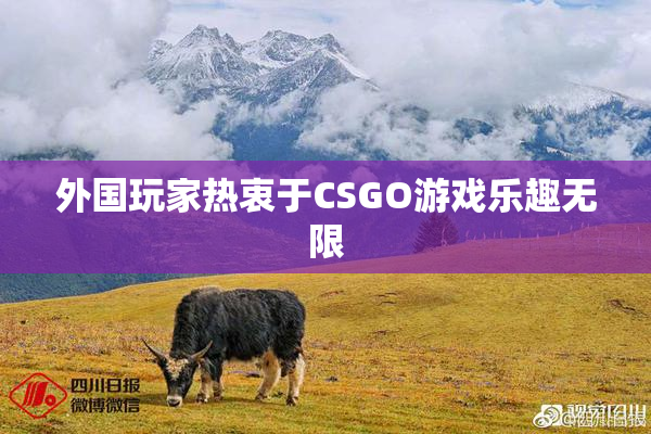 外国玩家热衷于CSGO游戏乐趣无限