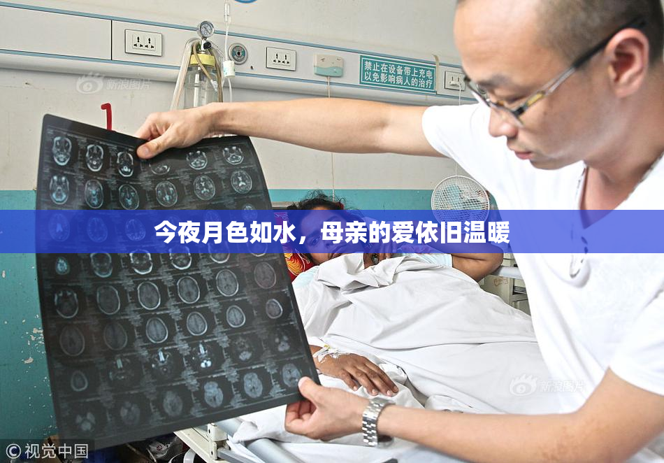 今夜月色如水，母亲的爱依旧温暖