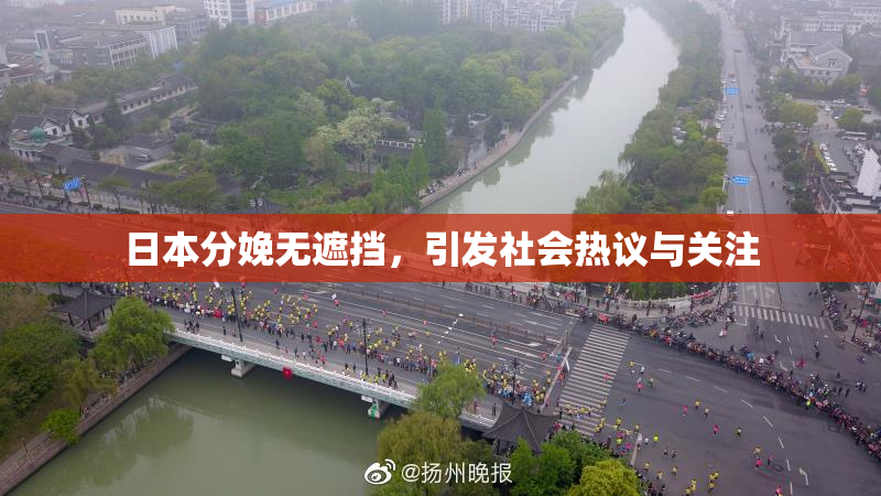 日本分娩无遮挡，引发社会热议与关注