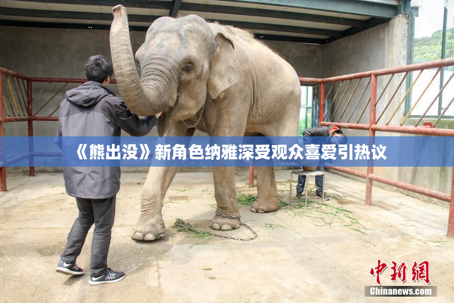 《熊出没》新角色纳雅深受观众喜爱引热议
