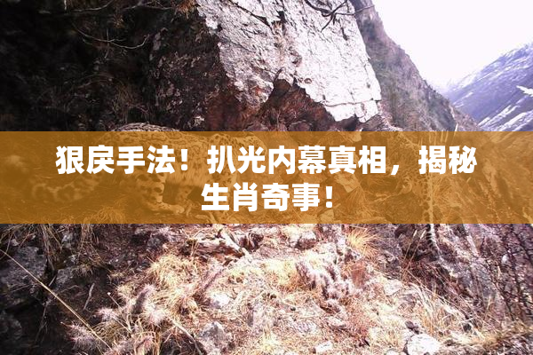 狠戾手法！扒光内幕真相，揭秘生肖奇事！
