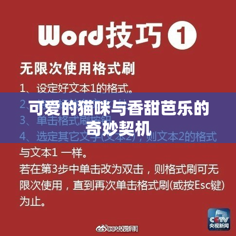 可爱的猫咪与香甜芭乐的奇妙契机