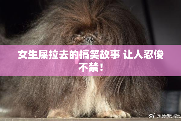 女生屎拉去的搞笑故事 让人忍俊不禁！