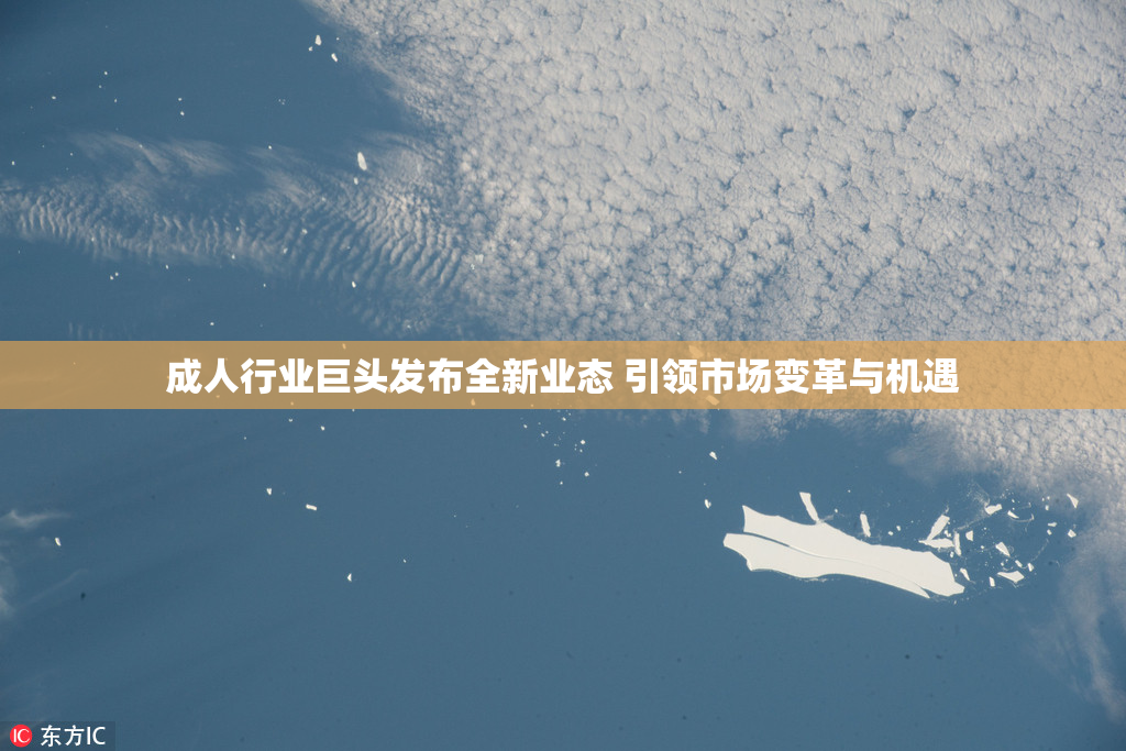 成人行业巨头发布全新业态 引领市场变革与机遇