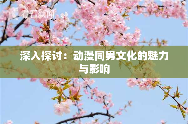 深入探讨：动漫同男文化的魅力与影响