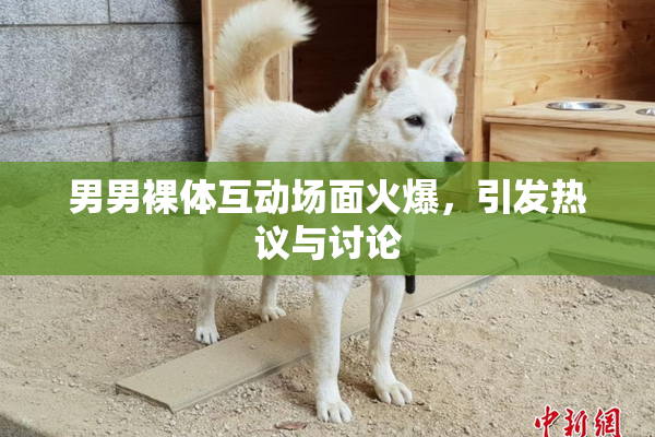 男男裸体互动场面火爆，引发热议与讨论