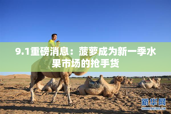 9.1重磅消息：菠萝成为新一季水果市场的抢手货