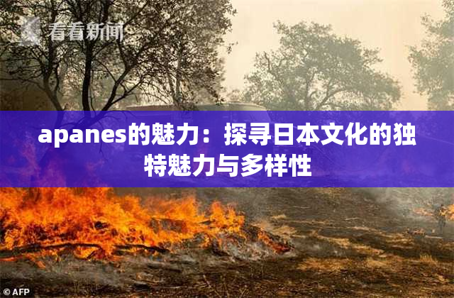 apanes的魅力：探寻日本文化的独特魅力与多样性