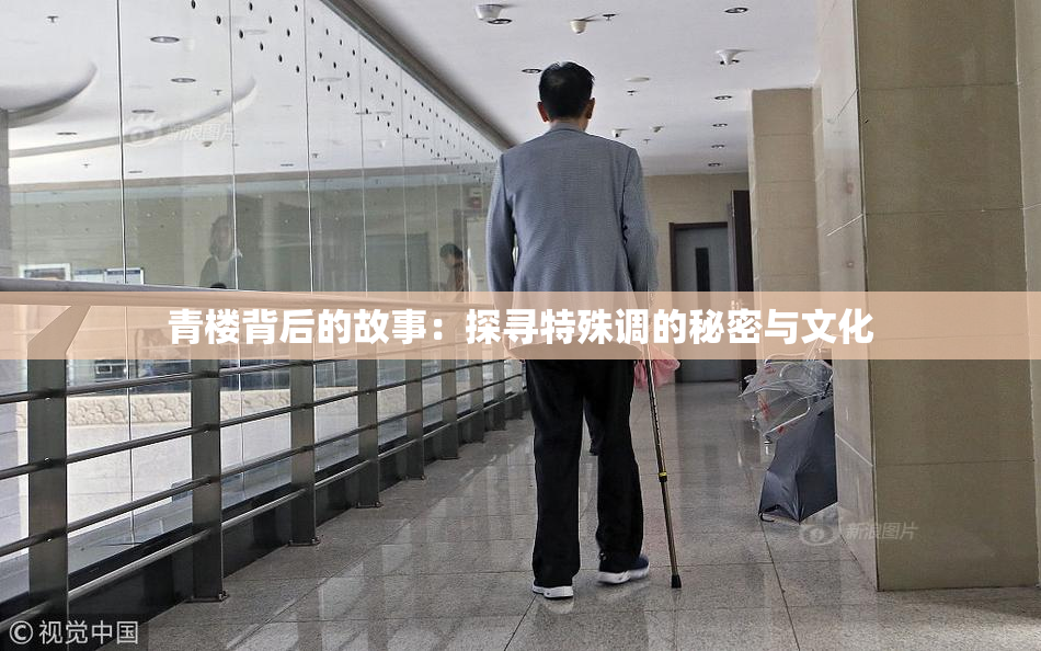 青楼背后的故事：探寻特殊调的秘密与文化