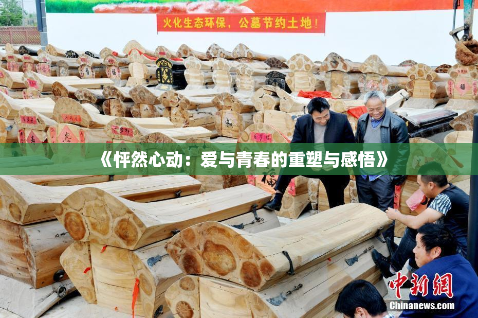 《怦然心动：爱与青春的重塑与感悟》
