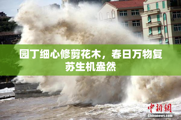 园丁细心修剪花木，春日万物复苏生机盎然
