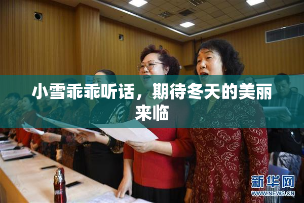 小雪乖乖听话，期待冬天的美丽来临