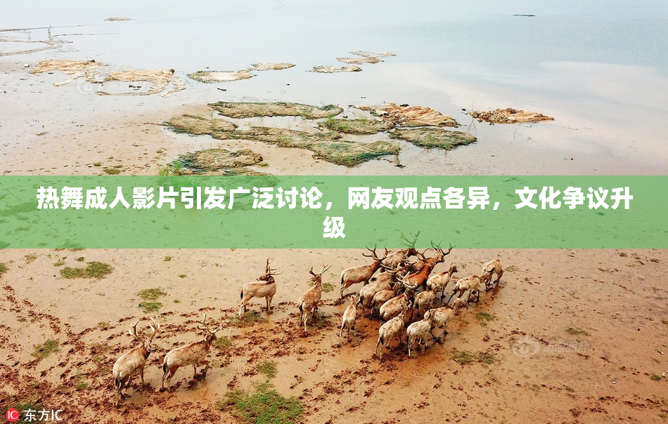 热舞成人影片引发广泛讨论，网友观点各异，文化争议升级