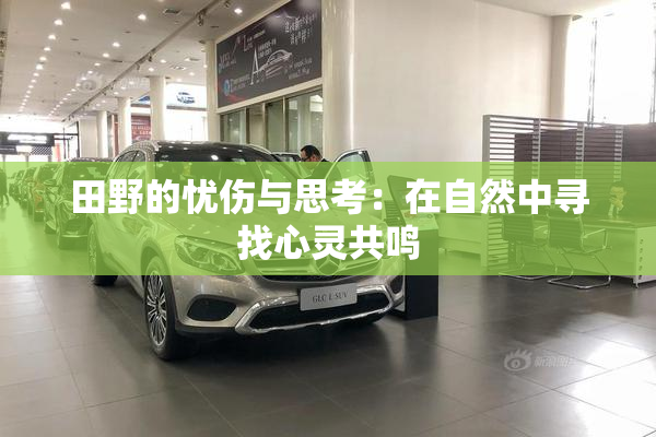 田野的忧伤与思考：在自然中寻找心灵共鸣