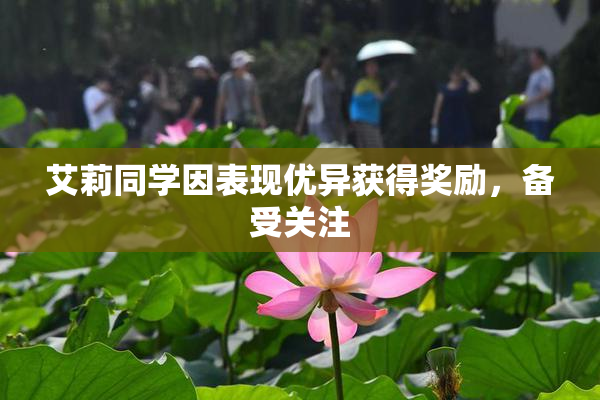 艾莉同学因表现优异获得奖励，备受关注