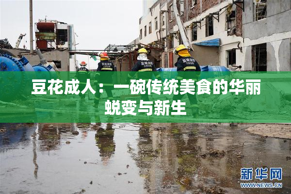 豆花成人：一碗传统美食的华丽蜕变与新生