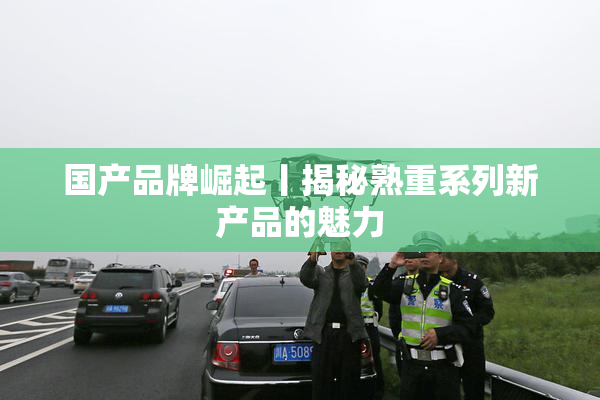 国产品牌崛起丨揭秘熟重系列新产品的魅力