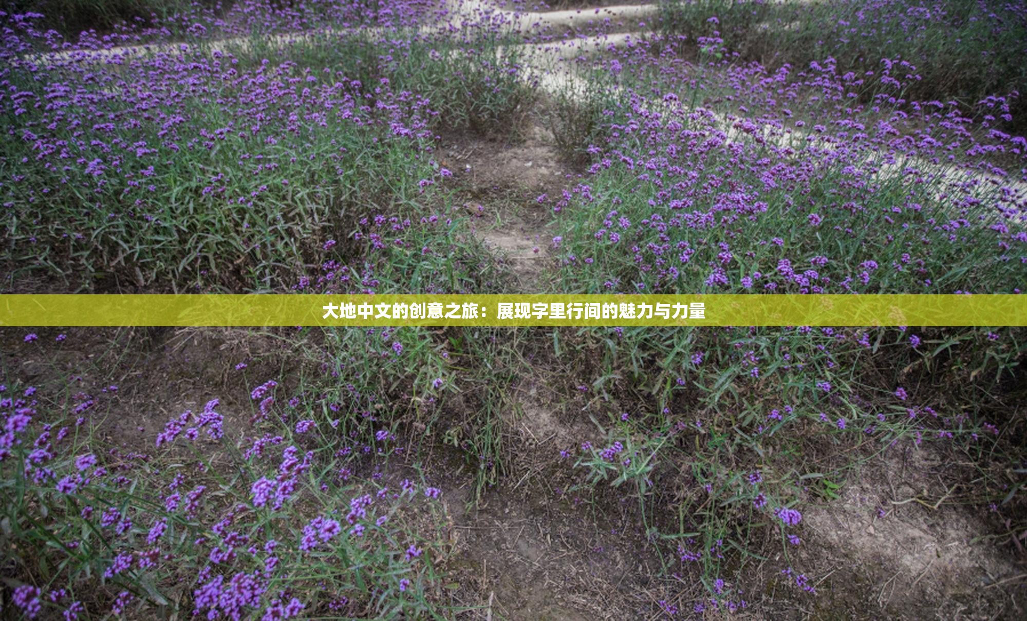 大地中文的创意之旅：展现字里行间的魅力与力量