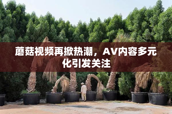 蘑菇视频再掀热潮，AV内容多元化引发关注