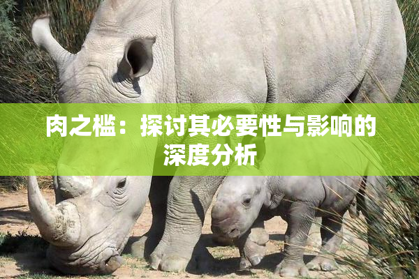 肉之槛：探讨其必要性与影响的深度分析
