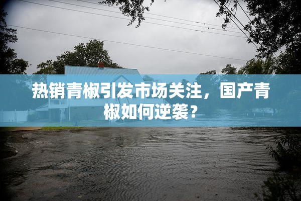 热销青椒引发市场关注，国产青椒如何逆袭？