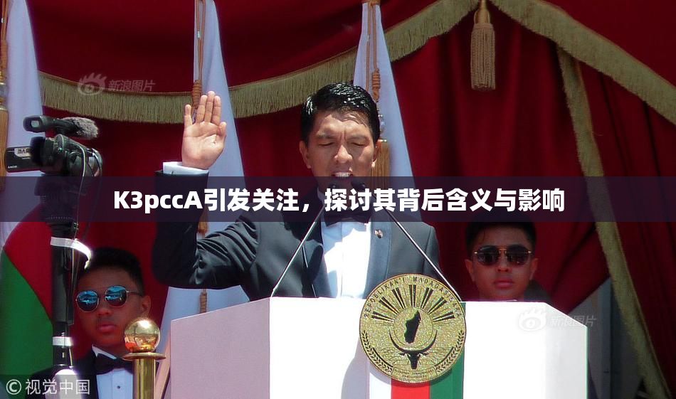 K3pccA引发关注，探讨其背后含义与影响