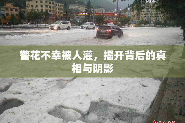 警花不幸被人灌，揭开背后的真相与阴影