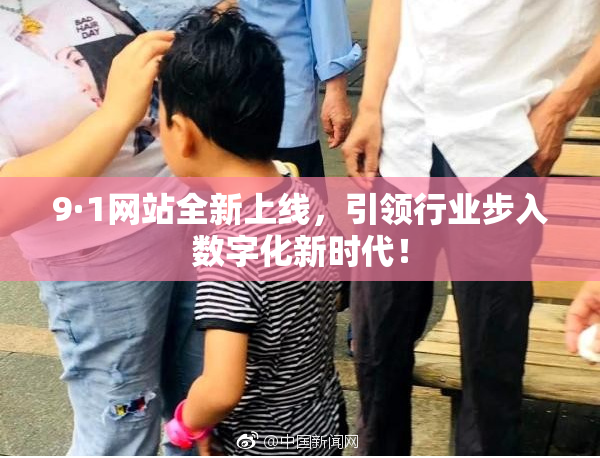 9·1网站全新上线，引领行业步入数字化新时代！