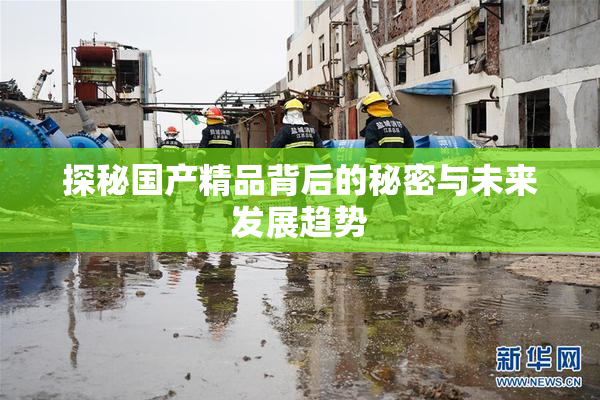 探秘国产精品背后的秘密与未来发展趋势