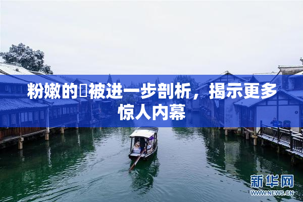 粉嫩的泬被进一步剖析，揭示更多惊人内幕
