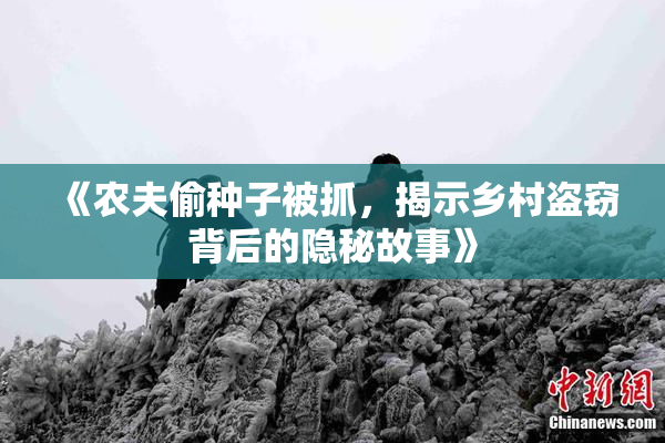 《农夫偷种子被抓，揭示乡村盗窃背后的隐秘故事》