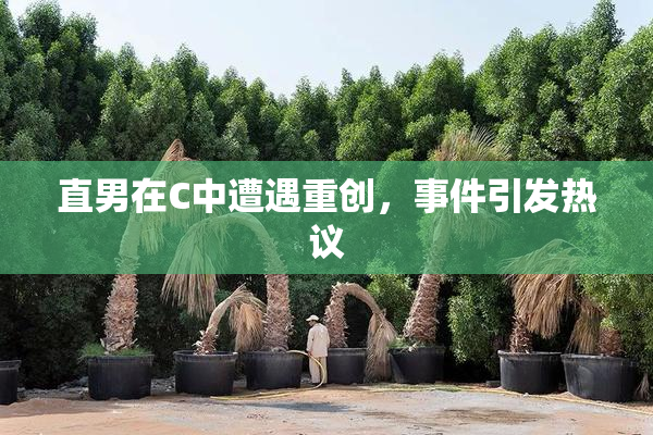 直男在C中遭遇重创，事件引发热议