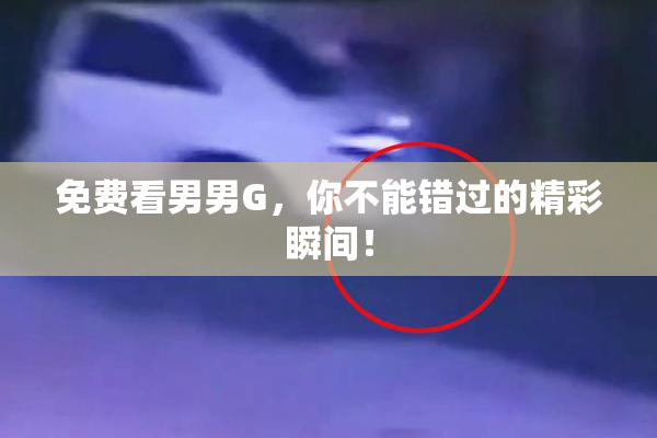 免费看男男G，你不能错过的精彩瞬间！