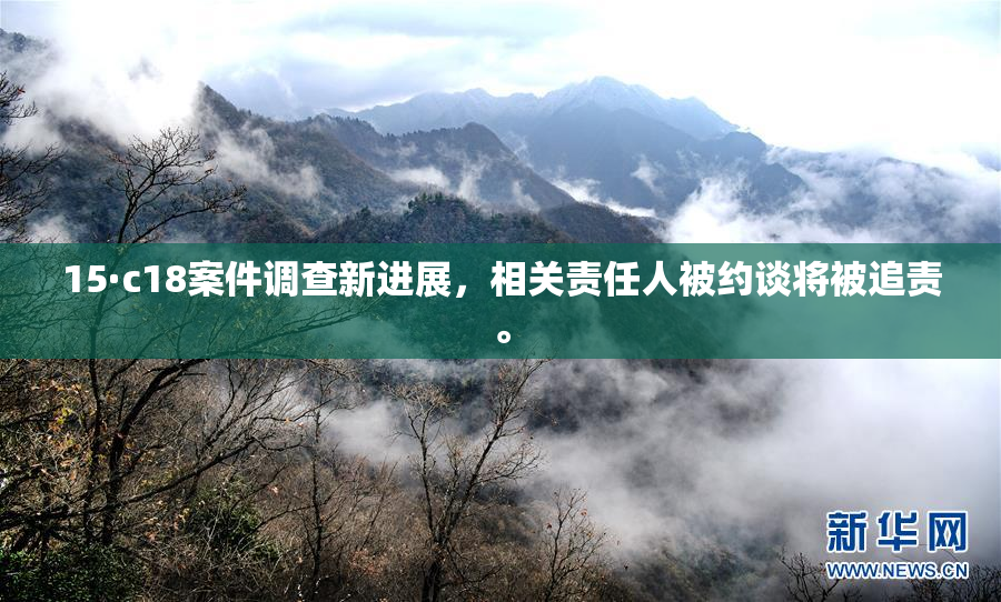 15·c18案件调查新进展，相关责任人被约谈将被追责。