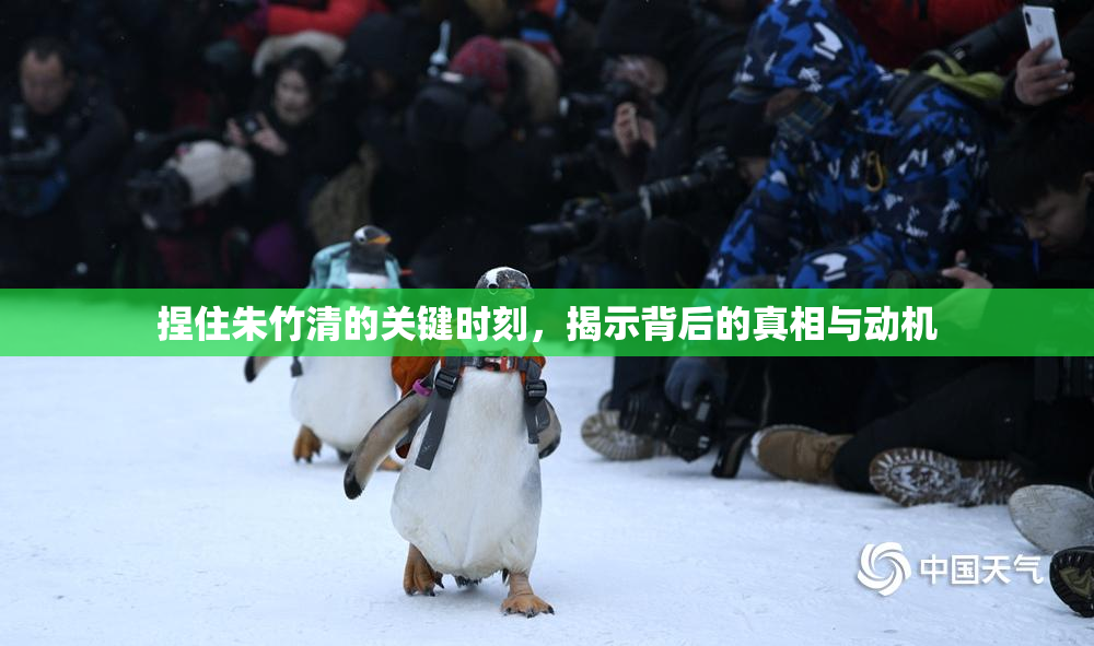 捏住朱竹清的关键时刻，揭示背后的真相与动机