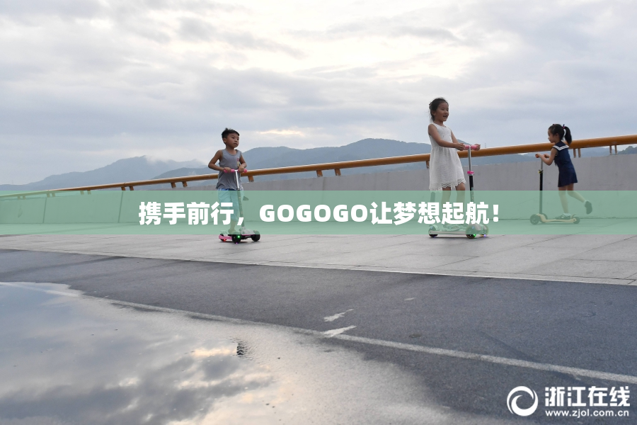 携手前行，GOGOGO让梦想起航！