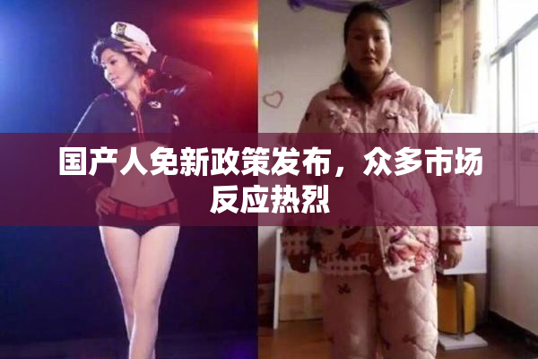 国产人免新政策发布，众多市场反应热烈