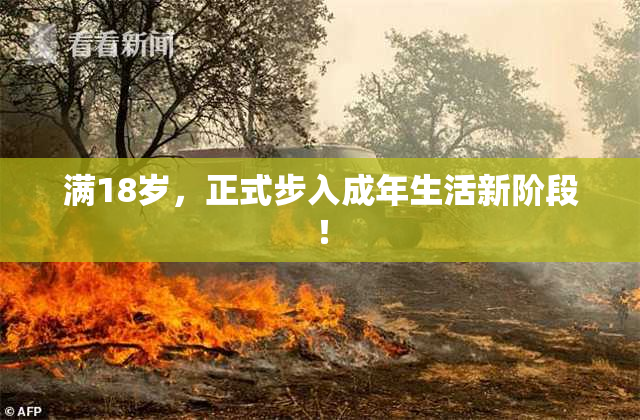 满18岁，正式步入成年生活新阶段！
