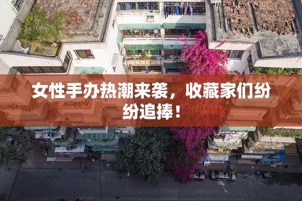 女性手办热潮来袭，收藏家们纷纷追捧！