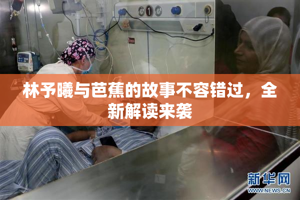 林予曦与芭蕉的故事不容错过，全新解读来袭
