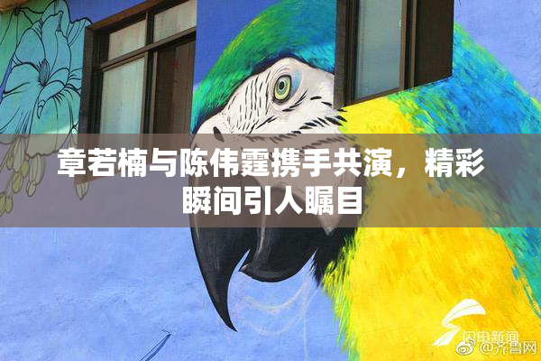 章若楠与陈伟霆携手共演，精彩瞬间引人瞩目