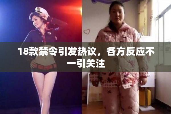 18款禁令引发热议，各方反应不一引关注