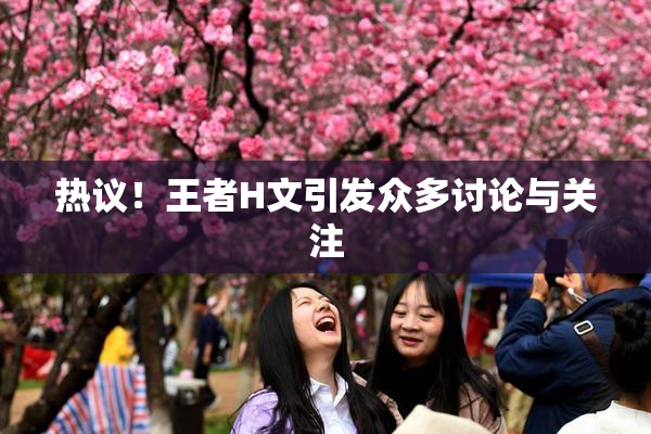 热议！王者H文引发众多讨论与关注