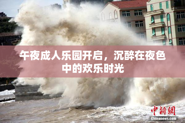午夜成人乐园开启，沉醉在夜色中的欢乐时光