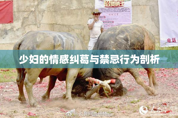 少妇的情感纠葛与禁忌行为剖析