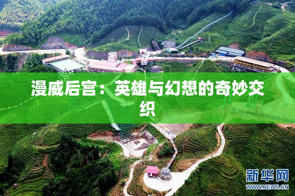 漫威后宫：英雄与幻想的奇妙交织