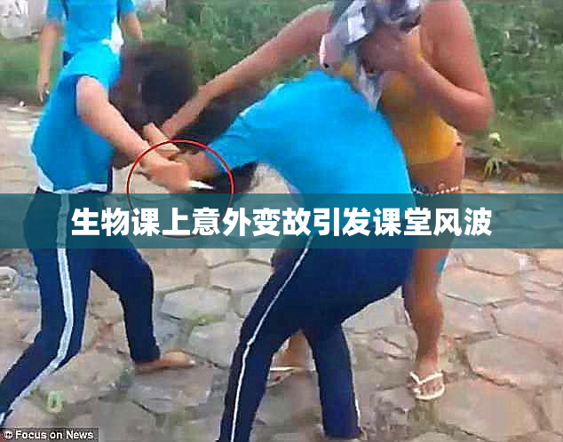 生物课上意外变故引发课堂风波