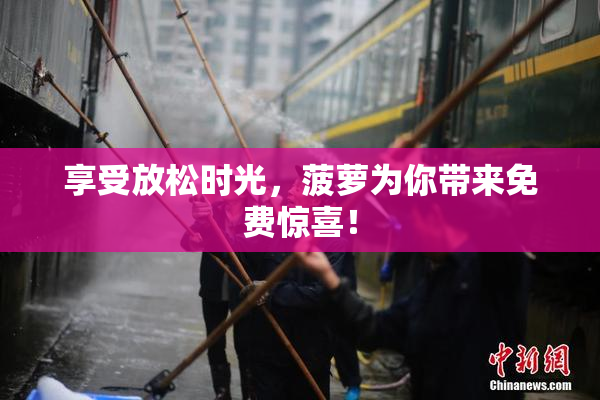 享受放松时光，菠萝为你带来免费惊喜！
