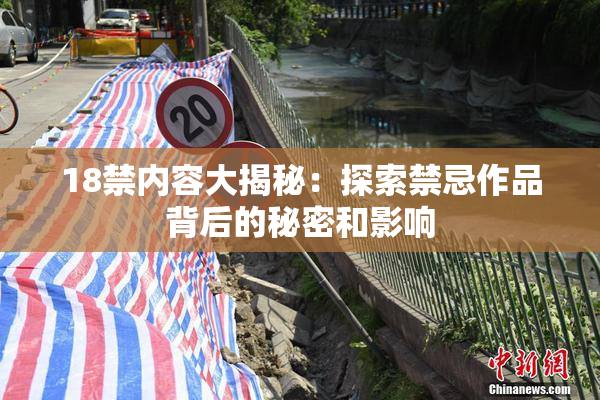 18禁内容大揭秘：探索禁忌作品背后的秘密和影响
